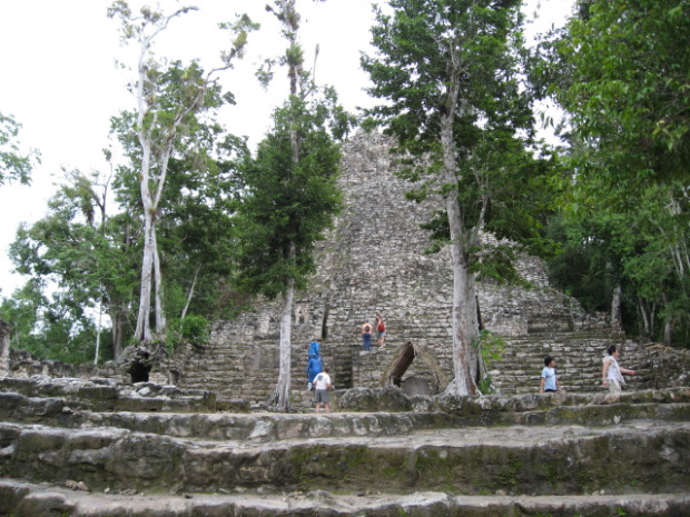 Cob&aacute;