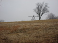 IMG_6885.JPG