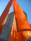 IMG_5356.JPG