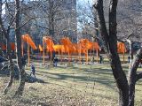 IMG_5363.JPG