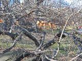 IMG_5365.JPG