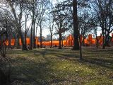 IMG_5371.JPG