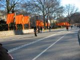 IMG_5372.JPG