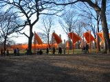 IMG_5374.JPG