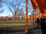 IMG_5379.JPG