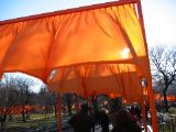IMG_5386.JPG