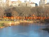 IMG_5393.JPG