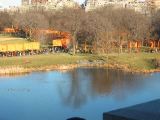IMG_5395.JPG