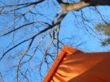 IMG_5404.JPG