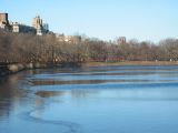 IMG_5350.JPG