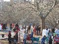 IMG_6482
