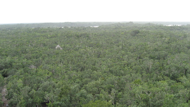 Cob&aacute; - El Castillo (view from top)