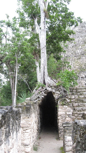 Cob&aacute;