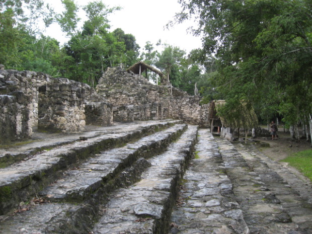 Cob&aacute;