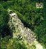 Cob&aacute; - El Castillo 