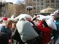 IMG_7071.JPG