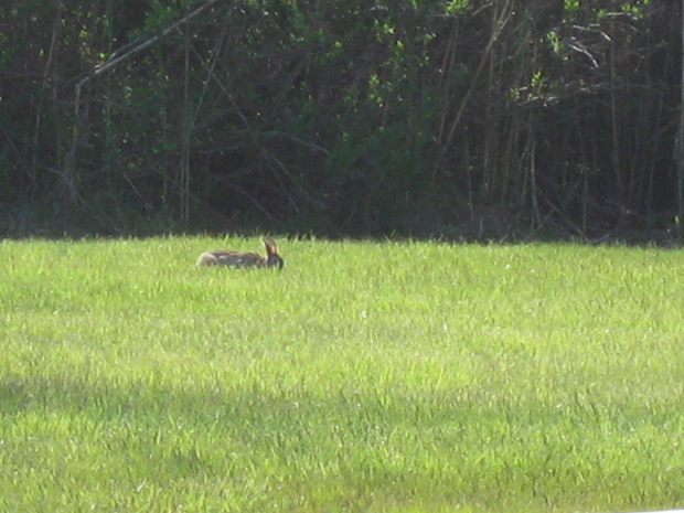 IMG_6095.JPG