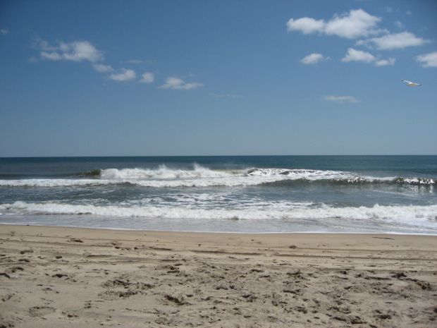 IMG_6158.JPG