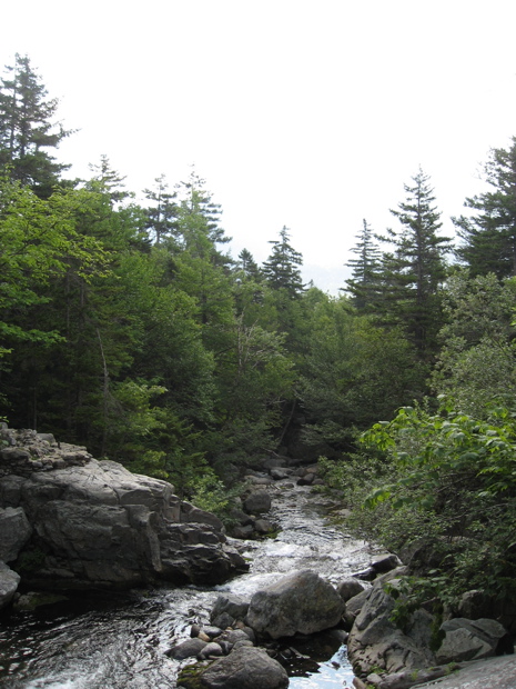 IMG_6942.JPG