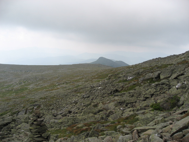 IMG_6980.JPG