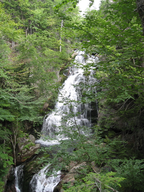IMG_6944.JPG