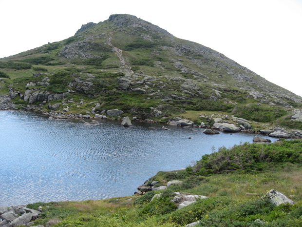 IMG_7019.JPG