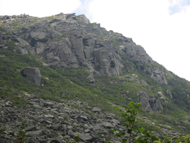IMG_6959.JPG