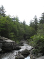 IMG_6942.JPG