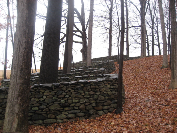 IMG_6875.JPG