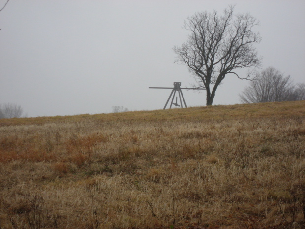 IMG_6885.JPG